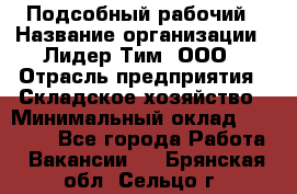 Подсобный рабочий › Название организации ­ Лидер Тим, ООО › Отрасль предприятия ­ Складское хозяйство › Минимальный оклад ­ 15 000 - Все города Работа » Вакансии   . Брянская обл.,Сельцо г.